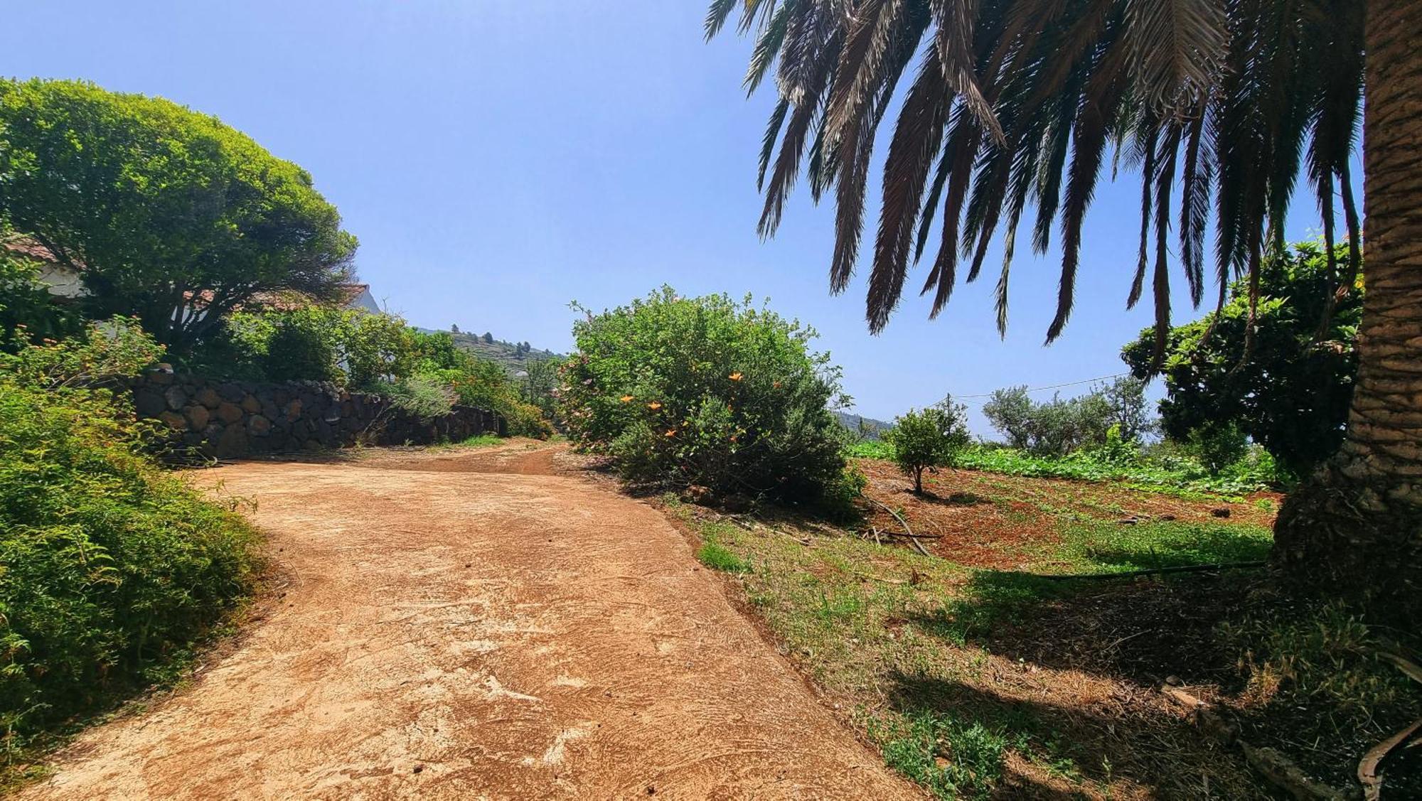 Villa El Jocamo à Puntagorda Extérieur photo